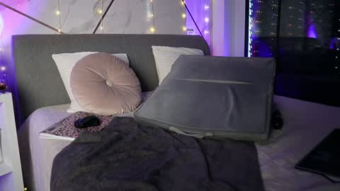 Snapshot of jayjaypink_ chatting on 12.29.24 JayJayPink online show from 12.29.24