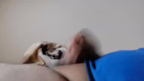 jayl458 online show from 03.10.25