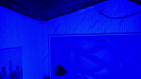 Snapshot of jazford chatting on 02.04.25 jazford online show from 02.04.25