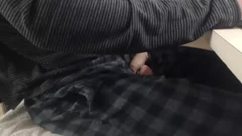 jc200000 online show from 11.03.25