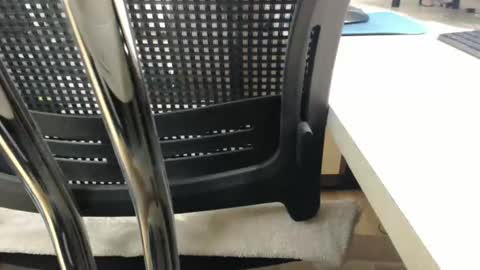 jc200000 online show from 02.04.26