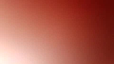 jcb2504 online show from 10.28.25