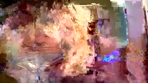 jedpiazza163893 online show from 01.18.26