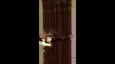 jedpiazza163893 online show from 05.25.26