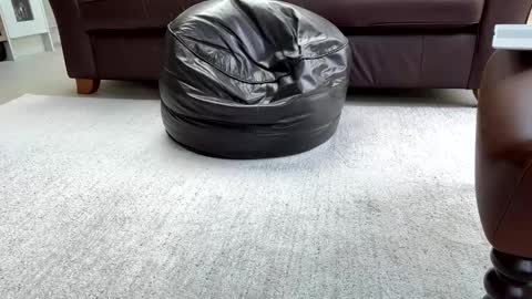 Snapshot of jeeves200 chatting on 02.25.25 Sensual Jeeves online show from 02.25.25