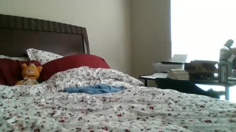 Snapshot of jennibean6996 chatting on 09.30.25 Jennibean6996 online show from 09.30.25