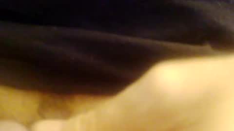 JoeEBear online show from 12.09.24