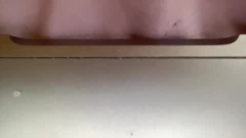 jerking1981 online show from 12.25.24