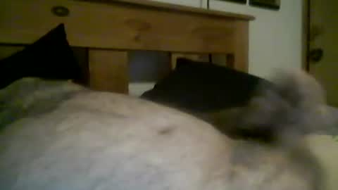 jerkmate6666 online show from 03.12.26