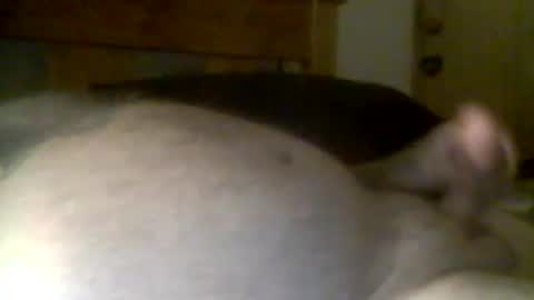 jerkmate6666 online show from 04.21.26