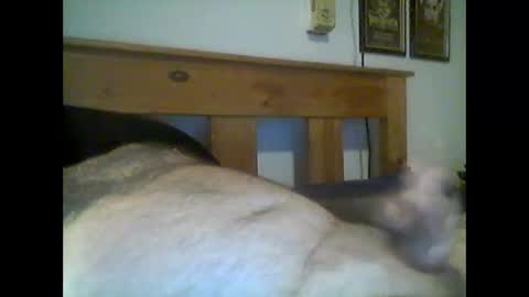 Snapshot of jerkmate6666 chatting on 05.15.26 jerkmate6666 online show from 05.15.26