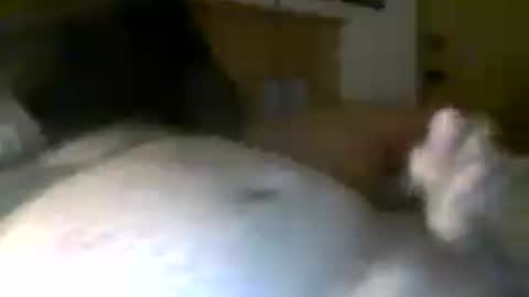 jerkmate6666 online show from 07.20.26