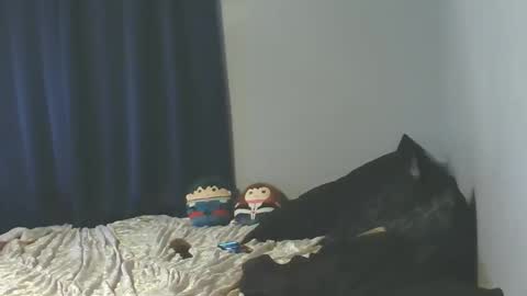 Sissy Jessica online show from 01.08.26