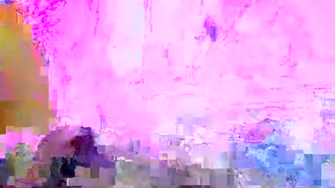 dovedianna online show from 04.17.26