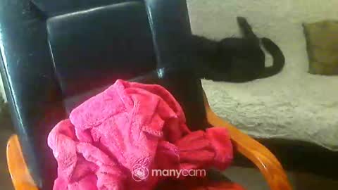 Snapshot of jessjess4you chatting on 02.02.25 jessjess4you online show from 02.02.25