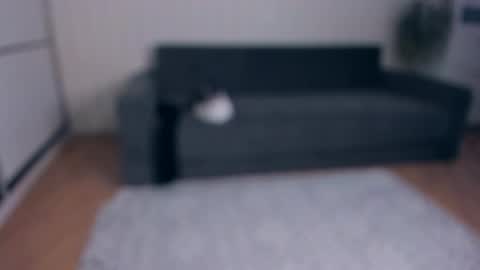 NEW VIDEO IN BIO online show from 11.25.25