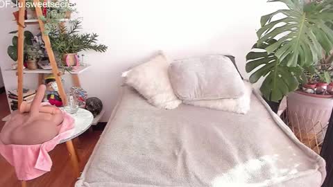 JessyLu online show from 11.19.25