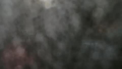 Jhon wich2 online show from 02.10.25