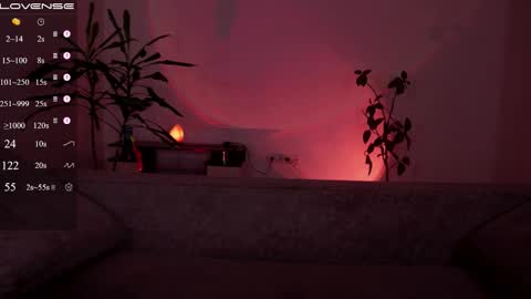 jia_lisaa online show from 10.15.25