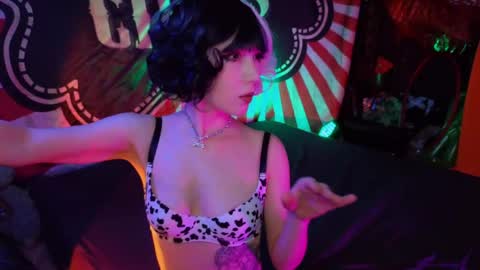    online show from 05.02.26