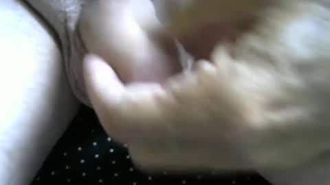 Snapshot of jimismiles chatting on 10.07.25 jimismiles online show from 10.07.25