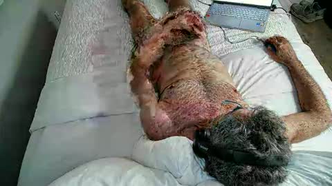 jimjimjim2633 online show from 04.02.26