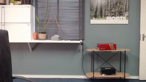 JamesJan van Rebel online show from 12.13.24