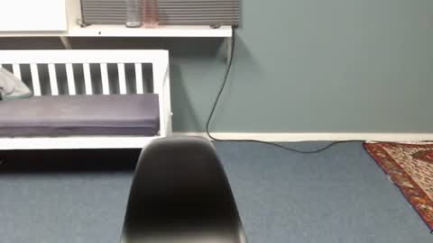 JamesJan van Rebel online show from 10.23.25