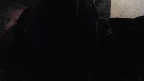 Snapshot of jjohnathan529 chatting on 01.26.25 jjohnathan529 online show from 01.26.25