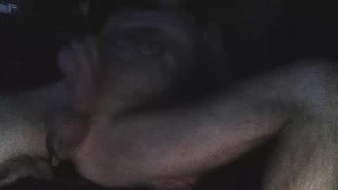 Snapshot of jjohnathan529 chatting on 02.24.25 jjohnathan529 online show from 02.24.25