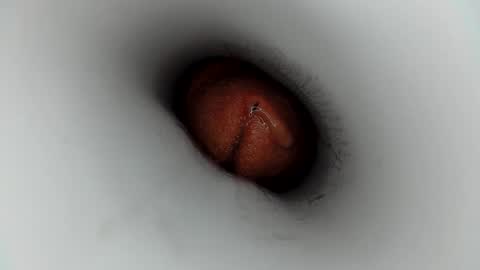 J online show from 01.18.26