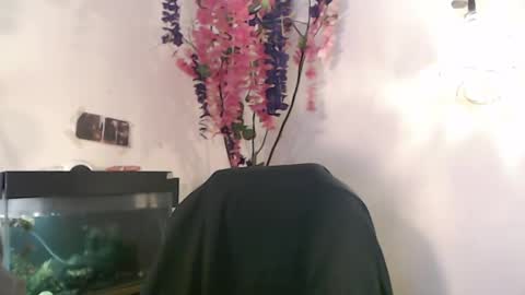 Nick online show from 12.06.24