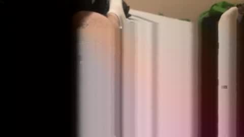 jocmyv9wokry online show from 02.20.26