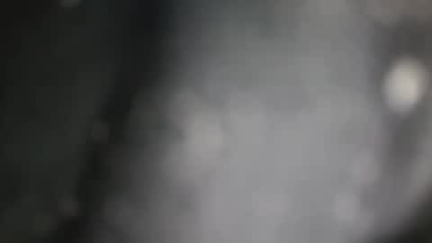 JOHN online show from 10.31.25