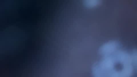 JOHN online show from 11.14.25