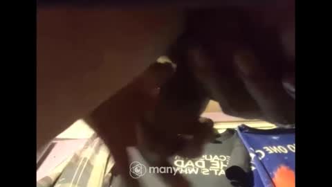 Snapshot of johnnyshung1 chatting on 12.13.24 johnnyshung1 online show from 12.13.24