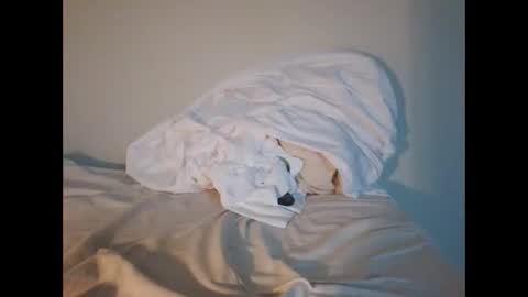 Snapshot of jojooo27 chatting on 02.14.26 jojooo27 online show from 02.14.26