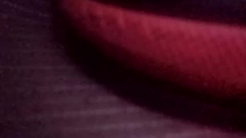 jonathanrossmyers858 online show from 03.13.26