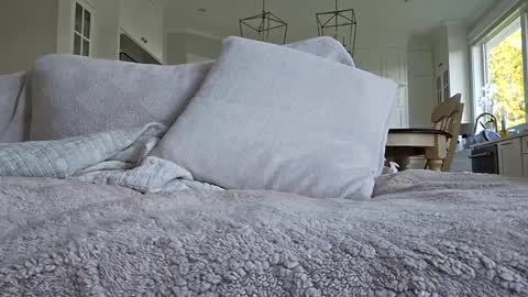 jonesy420xoo online show from 10.08.25