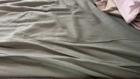 Maximo online show from 03.13.26