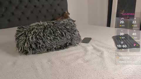 Will online show from 03.07.25