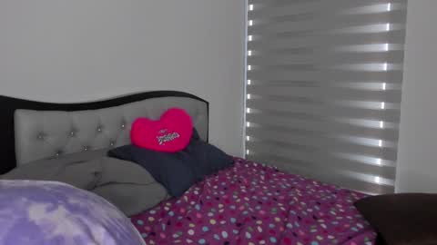 Snapshot of josh_and_dilany chatting on 01.22.25 Dilany Josh online show from 01.22.25