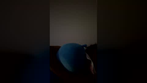 Snapshot of joshua_b11 chatting on 03.28.26 joshua_b11 online show from 03.28.26