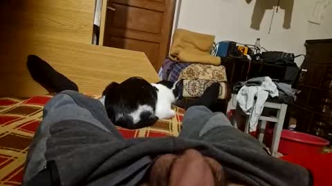 joyboy465468 online show from 10.26.25