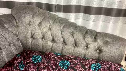 Butterflyass online show from 03.04.26