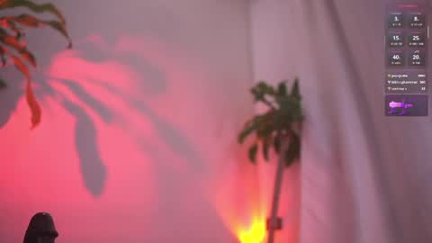 Sisi online show from 04.06.26