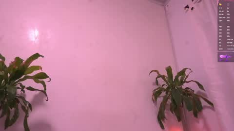 Sisi online show from 05.15.26