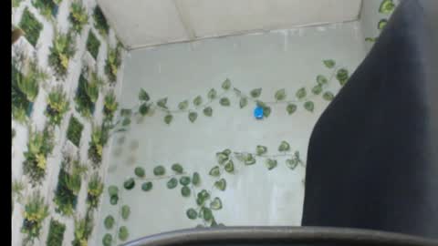 Snapshot of juicy_gold22 chatting on 02.13.25 Mariagold online show from 02.13.25