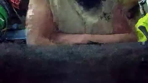 juicyweiner online show from 10.28.25