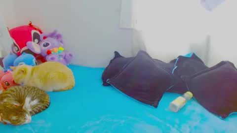  Juliana Torres  online show from 01.07.26